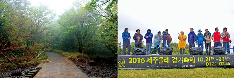 [左圖]思連伊林蔭道有韓國最美道路之稱。[右圖]10月剛舉辦的偶來小路路線1徒步大會