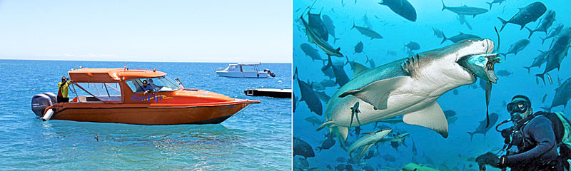 [左圖]搭船跳島遊斐濟最過癮，[右圖]貝卡島獨特的與鯊共游活動